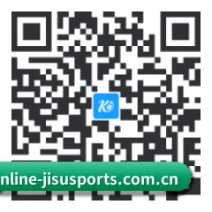 系统版 iOS 二维码